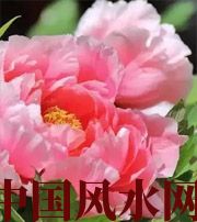 西藏预示你财运上升，姻缘可成的梦境，快来看看吧！
