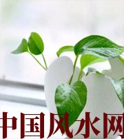 西藏家中摆放六种吉祥物，会打开您的财运大门！