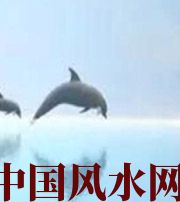 西藏做梦梦到这些，是要富裕的征兆！